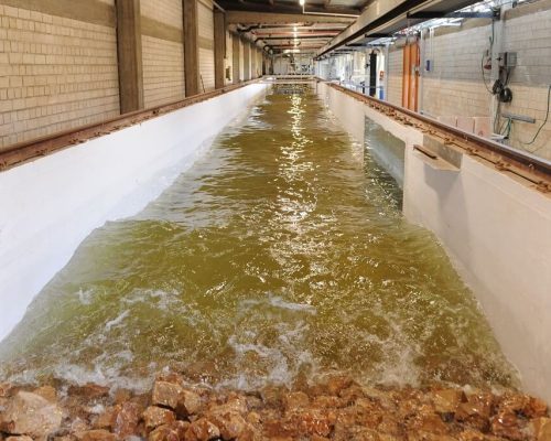 CAMERI | Physical modeling | Flume