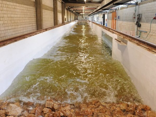 CAMERI | Physical modeling | Flume CAMERI | Physical modeling | Flume