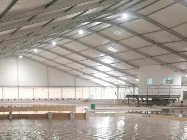 cameri_basin CAMERI | Basin